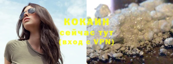 прущие грибы Абдулино