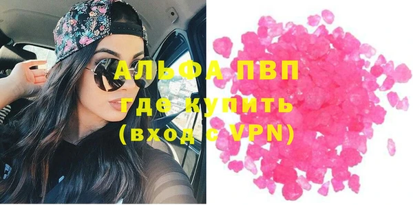 прущие грибы Абдулино